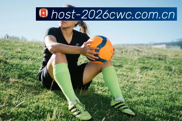 2026世界杯数据服务生态
